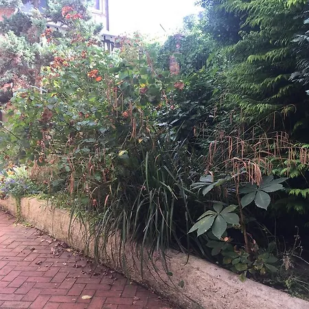 L'envie D'ailleurs 옹플뢰르