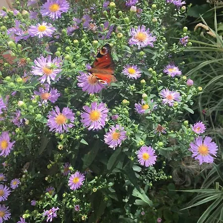 Διαμέρισμα L'envie D'ailleurs Ονφλέρ