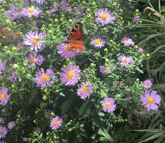 Apartmán L'envie D'ailleurs Honfleur